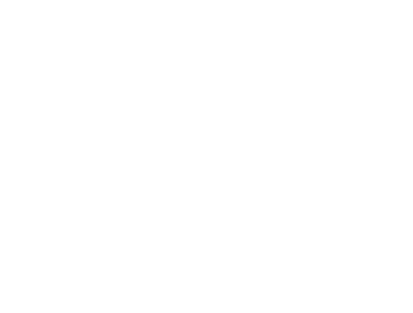 ALPCITY Airsoft Games